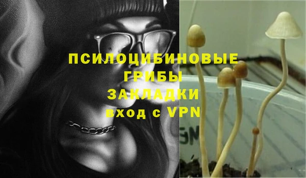 СК Пролетарск