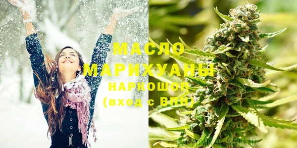 индика Приозерск