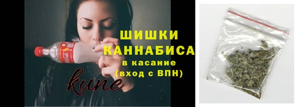 ПСИЛОЦИБИНОВЫЕ ГРИБЫ Гусь-Хрустальный