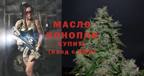 spice Гусев