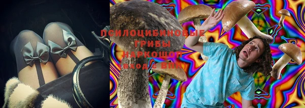 тгк Нея