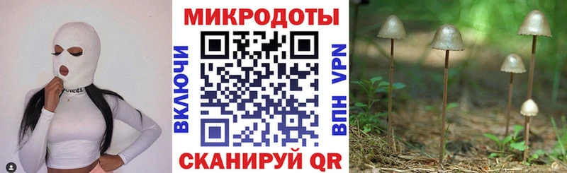 сколько стоит  shop Telegram  Псилоцибиновые грибы ЛСД  Пласт 